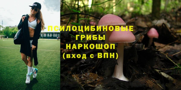 спиды Белокуриха