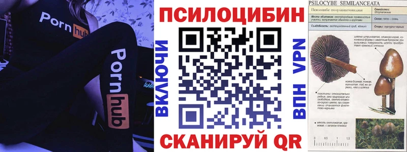 что такое наркотик  Касимов  Псилоцибиновые грибы Cubensis 